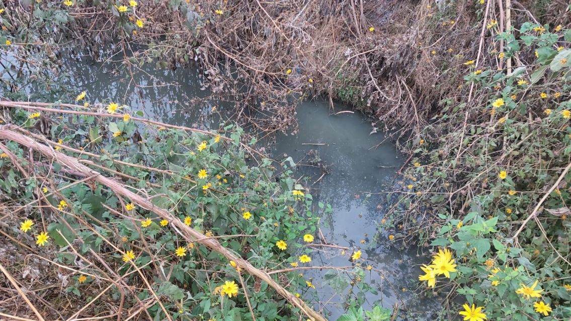 Líquidos cloacales en el Arroyo Huaico y Agua Potable no aparece