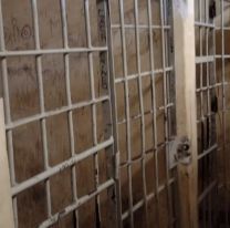 Horror en Gorriti: Comisario vio que estaban torturando a un preso y denunció a todos