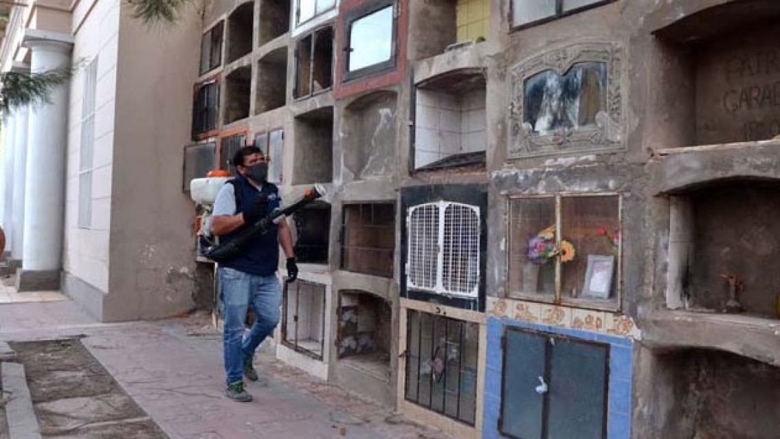 Horror en Jujuy: Encontraron a perros comiendo un feto en el cementerio