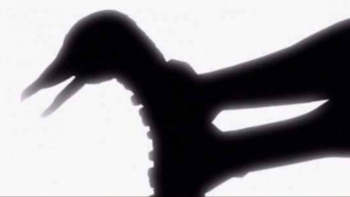 Se sacudió el "ganso" 42 veces seguidas: le dio un paro cardíaco y murió