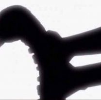 Se sacudió el "ganso" 42 veces seguidas: le dio un paro cardíaco y murió