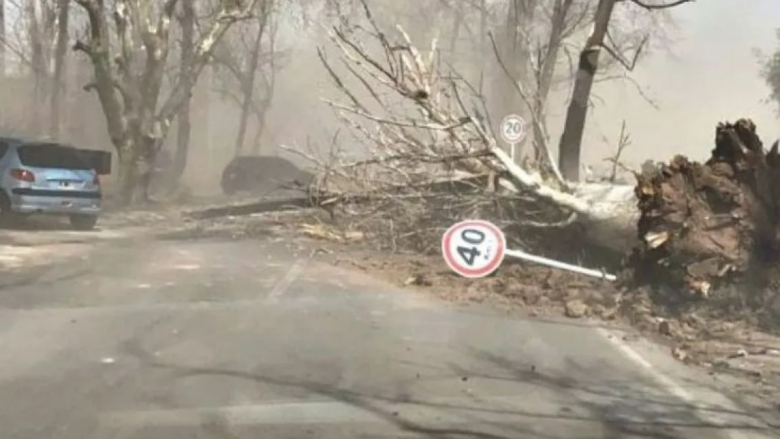Dos muertos por fuertes ráfagas del viento Zonda en Mendoza