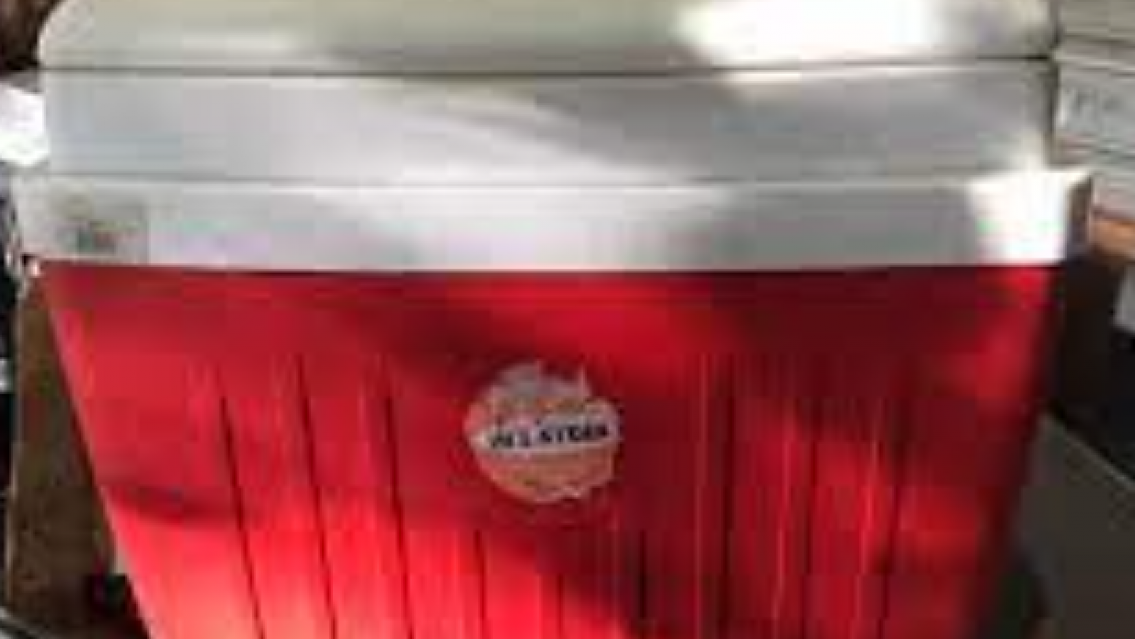 Llegaron de Bolivia con conservadoras: Asustaron a todo el colectivo con lo que había adentro