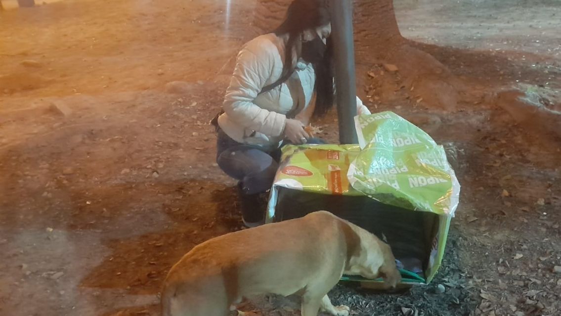 Juje�a hace cuchas para los callejeritos y necesita la ayuda de todos