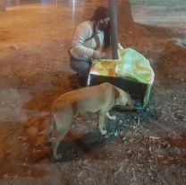 Jujeña hace cuchas para los callejeritos y necesita la ayuda de todos