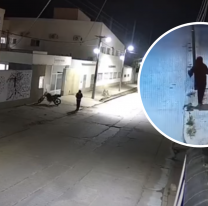 Como esperando algo: lo que pocos vieron del robo de la beb&eacute; en Salta