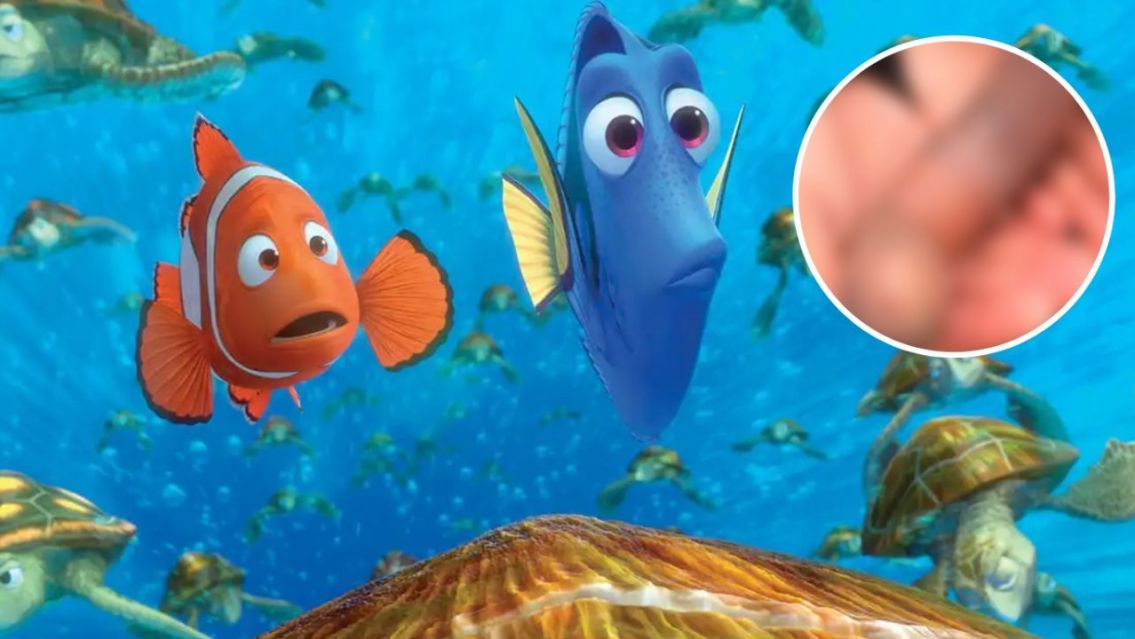 Qué grande esa "Tararira": un río se llenó de peces que tienen una forma curiosa