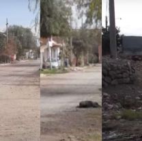 La mafia de la droga domina los barrios de Perico: "Hay nenes de 13 a&ntilde;os"