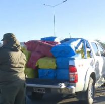 Juje&ntilde;os atropellaron un gendarme en Salta para fugarse con 500 kilos de coca