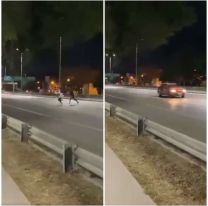 Chicos jujeños arriesgan su vida: Se filman cruzando entre los autos