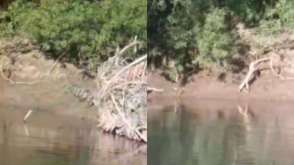 Pescadores jujeños asustados por un bicho enorme: "es gigante el tonto"