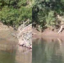 Pescadores jujeños asustados por un bicho enorme: "es gigante el tonto"