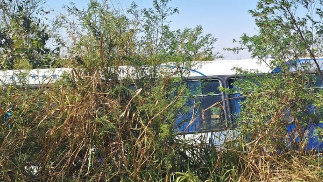 Desastre en Salta: volcó un micro cargado de pasajeros