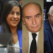 PASO en Jujuy: estas son las caras que vas a encontrar en el cuarto oscuro