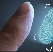 PASO: en Jujuy se usar&aacute; nuevamente la huella dactilar