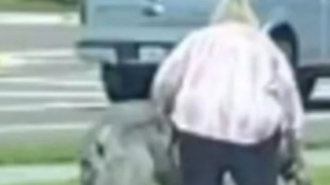 Saca a pasear a una extraña criatura y nadie sabe qué animal es