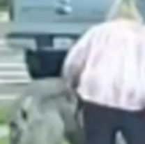 Saca a pasear a una extra&ntilde;a criatura y nadie sabe qu&eacute; animal es