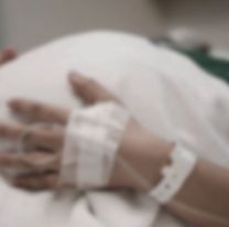 Brutal ataque de mosquitos en Salta: quedó desfigurada y la internaron de urgencia