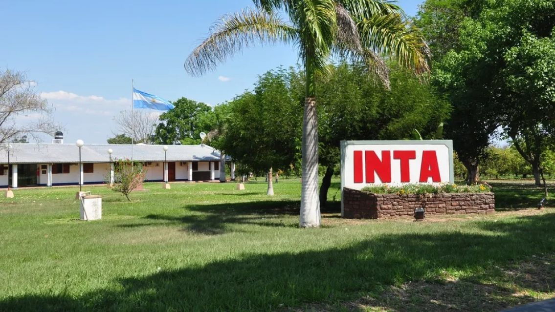 Piden desalojar el INTA "porque Jujuy lo necesita": le quitarán el predio