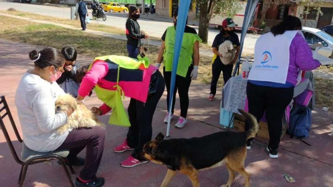 As� ser� el calendario de vacunaci�n antirr�bica en Jujuy este finde