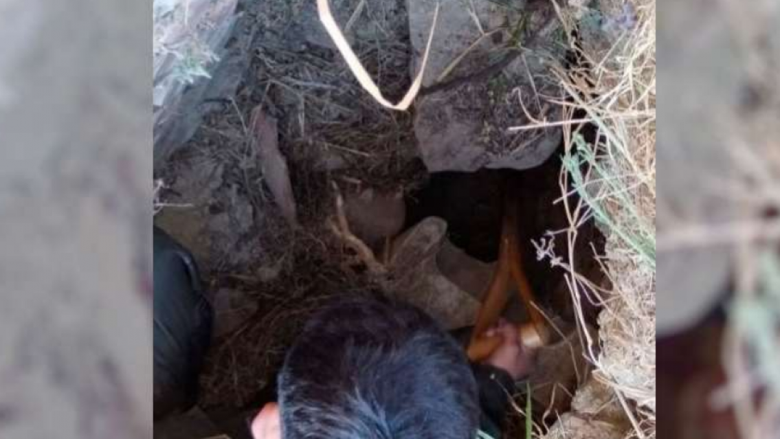 En pleno partido de Boca, presos armaron un agujero en la cárcel: "Estamos..."