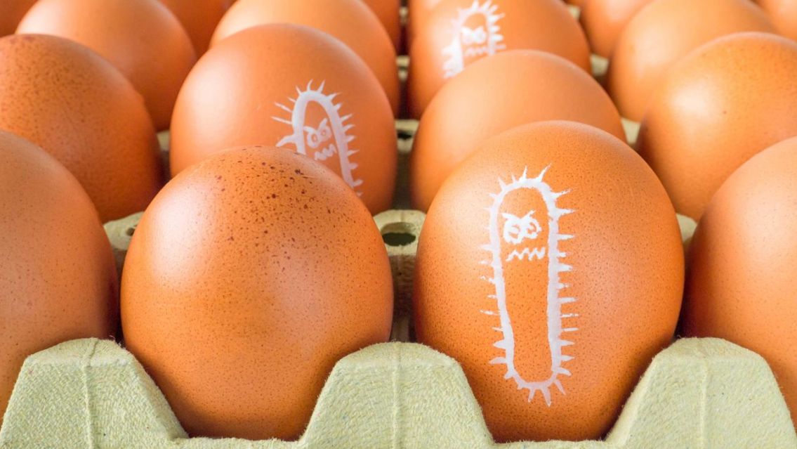 Vuelven a subir los casos de salmonella: cómo evitar contagiarse