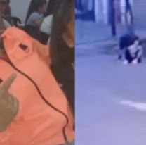 Así avanza la investigación del crimen de Morena: buscan su celular