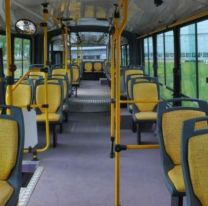 Las provincias que no ponen el bondi gratis para las elecciones: los motivos