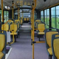 Las provincias que no ponen el bondi gratis para las elecciones: los motivos