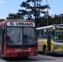 Jujuy y Tierra del Fuego son las &uacute;nicas provincias que no tendr&aacute;n colectivo gratis el domingo 