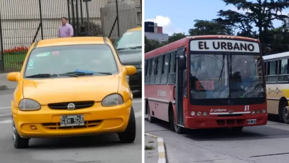 Así funciona el servicio de taxi y colectivo en San Salvador de Jujuy