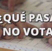 De cuánto es la multa si no votas hoy y qué trámites no vas a poder hacer