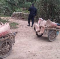 En la frontera no reciben pesos argentino y bolivianos aprovechan la devaluación