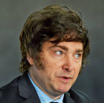 Milei explicó cuánto demoraría el proceso de dolarización: "por lo menos..."