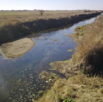 Buscan desesperadamente a un hombre que se cayó al río: estaba pescando