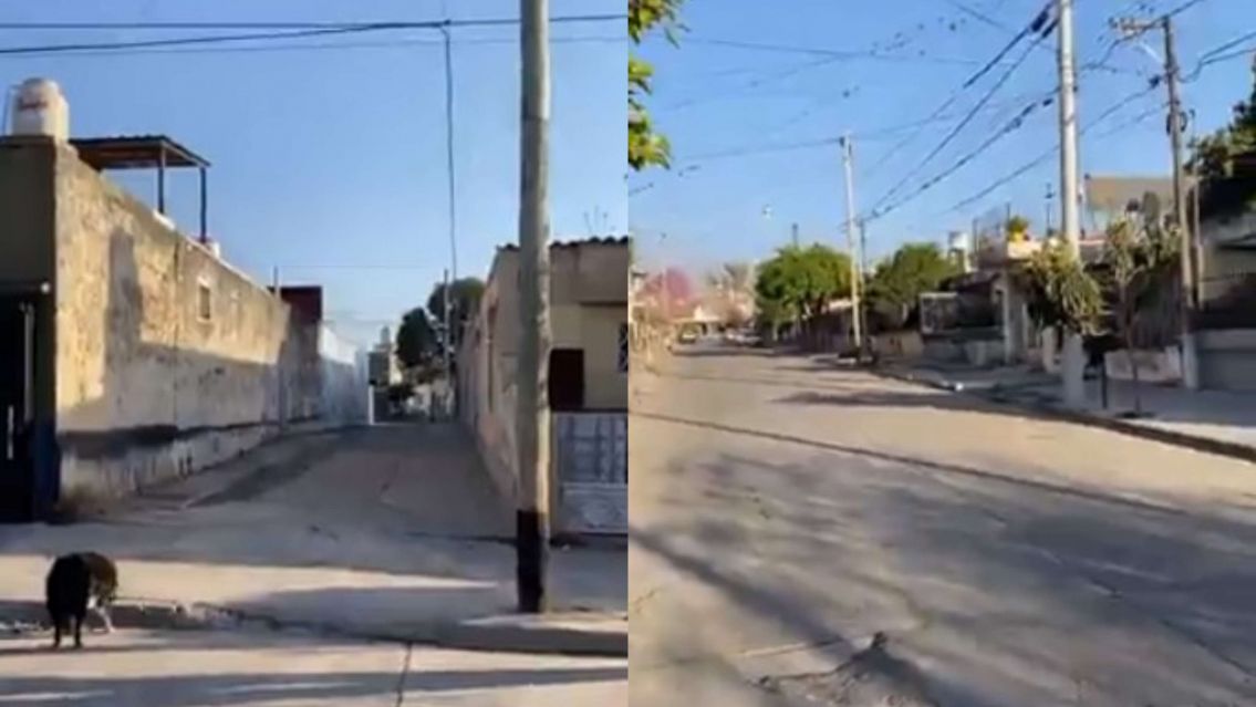 Llamaron a un delivery y le dieron un terrible paliza: Brutal ataque en San Pedrito