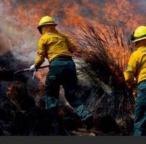 De los 90 incendios que hubo en Jujuy solo 1 fue por causas naturales