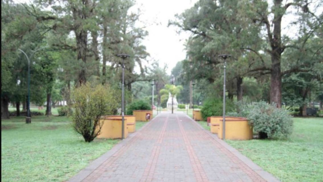 Un jujeñito se desmayó en el Parque San Martín: Desesperación total