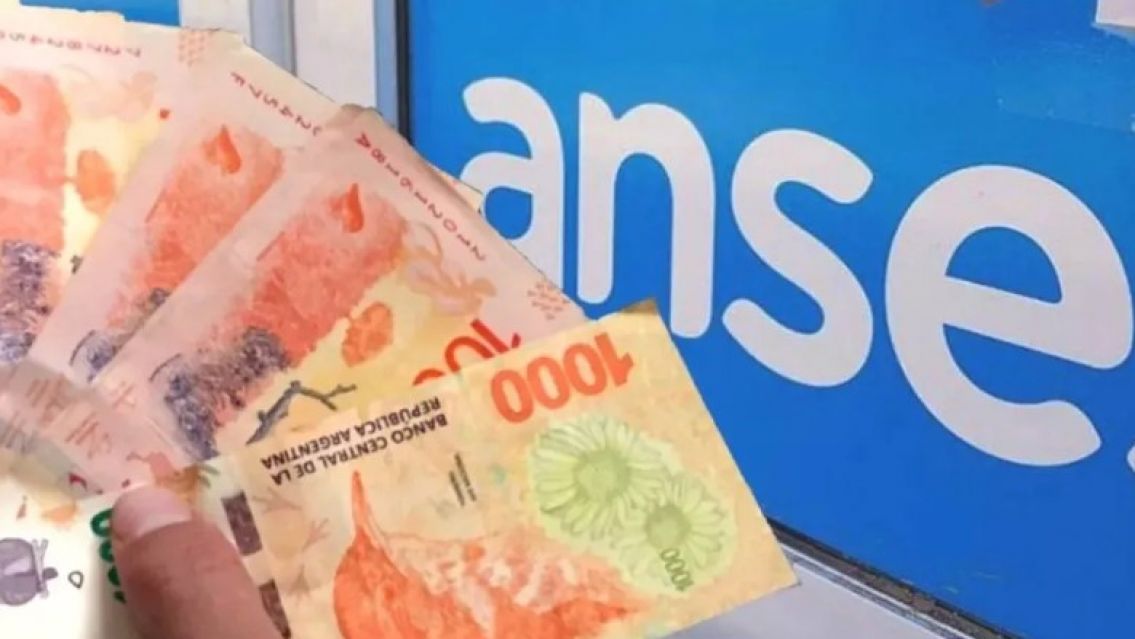 ANSES confirm� qui�nes son los que recibir�n $119.146 en septiembre