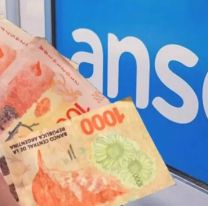 ANSES confirmó quiénes son los que recibirán $119.146 en septiembre