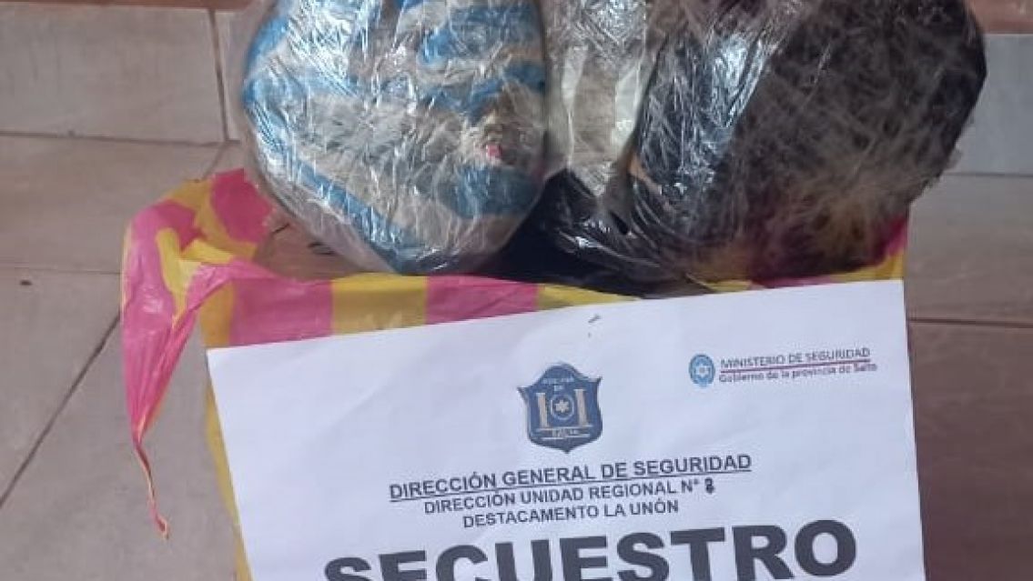 Incre�ble hallazgo en la bodega de un bondi: "Sali� un fuerte olor y cuando..."