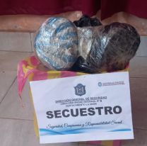 Increíble hallazgo en la bodega de un bondi: "Salió un fuerte olor y cuando..."