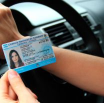 Tu licencia de conducir, tu seguro y tu c&eacute;dula verde est&aacute;n cargadas en esta aplicaci&oacute;n 