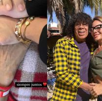 Preocupación: después del ACV, la Mona tuvo que ser operado de urgencia