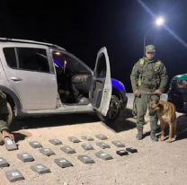 Secuestraron m&aacute;s de 20 kilos de coca&iacute;na de m&aacute;xima pureza en Jujuy