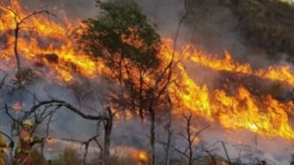Incendios en Jujuy: Palpal� a�n mantiene un foco activo